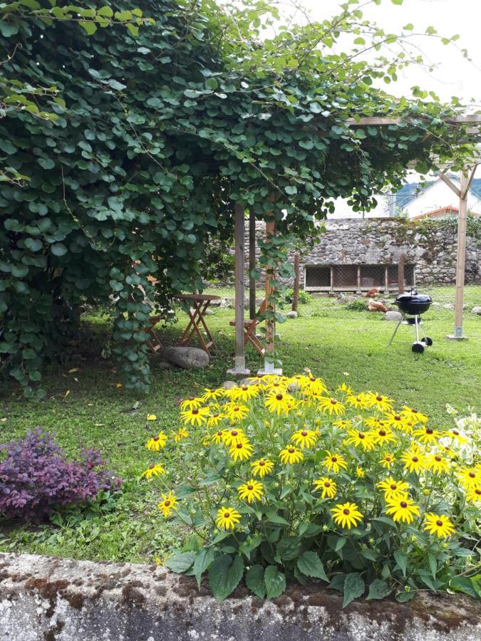 Bel Appartement Renove Dans Maison Bigourdane Pouzac Eksteriør billede